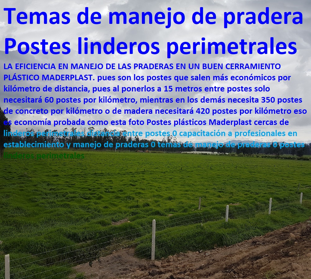 Postes plásticos Maderplast cercas de linderos perimetrales distancia entre postes 0 capacitación a profesionales en establecimiento y manejo de praderas 0 temas de manejo de praderas 0 postes linderos perimetrales Postes plásticos Maderplast cercas de linderos perimetrales distancia entre postes 0 capacitación a profesionales en establecimiento y manejo de praderas 0 temas de manejo de praderas 0 postes linderos perimetrales Postes plásticos Maderplast cercas de linderos perimetrales distancia entre postes 0 capacitación a profesionales en establecimiento y manejo de praderas 0 temas de manejo de praderas 0 postes linderos perimetrales